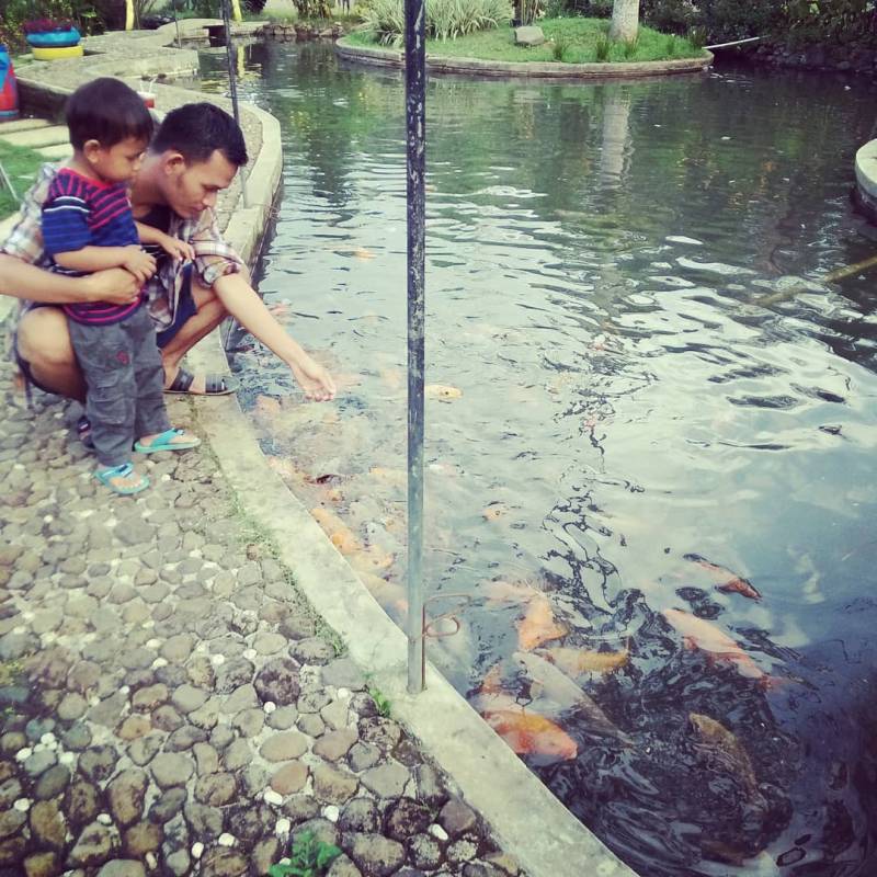 Kolam Ikan di Taman Wisata Linggrajati