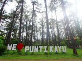 Icon Punti Kayu Palembang by @pariwisata.palembang