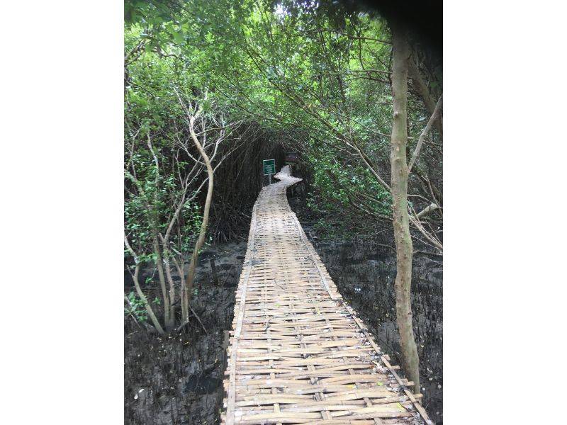 Jalan di Hutan Mangrove Pantai Karangsong