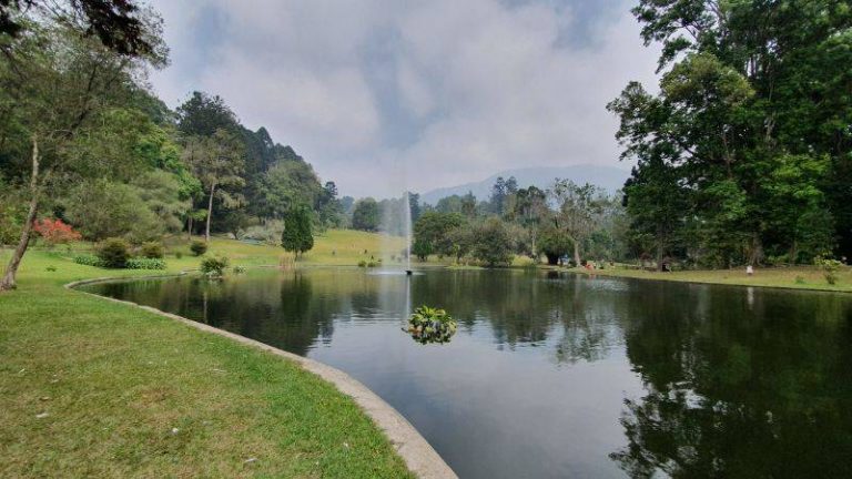 Kebun Raya Cibodas Sakura, Harga Tiket Masuk, Fasilitas - PanduanWisata.id