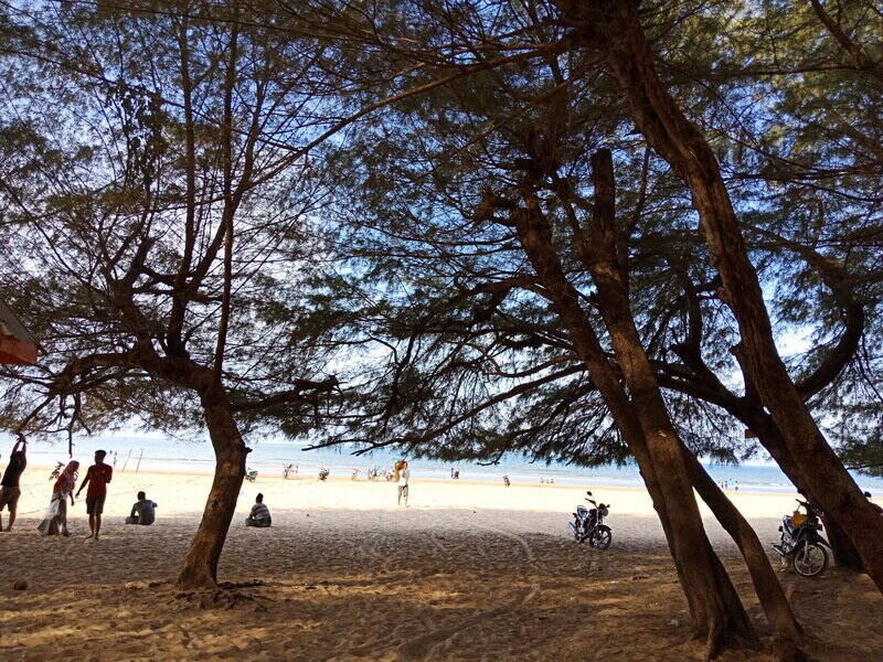 Keteduhan Pantai Lombang Madura yang penuh pepohonan